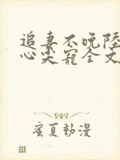 追妻不晚陆少的心尖宠全文免费封面