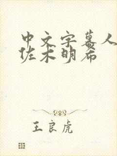 中文字幕人妻佐佐木明希