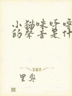 小猫咪呼噜呼噜的声音是什么意思