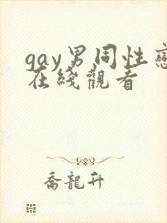 gay男同性恋在线观看