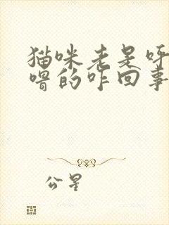 猫咪老是呼噜呼噜的咋回事