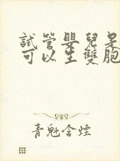 试管婴儿是不是可以生双胞胎