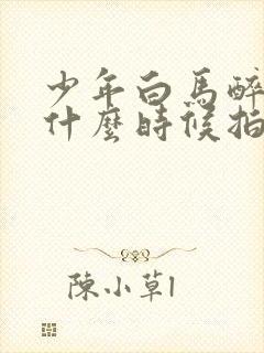 少年白马醉春风什么时候拍的