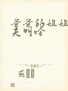 爸爸的姐姐的丈夫叫啥封面