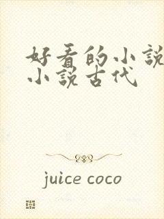 好看的小说言情小说古代