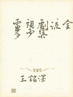 电视剧流金岁月多少集