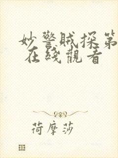 妙警贼探第四季 在线观看