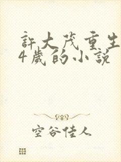 许大茂重生到14岁的小说封面