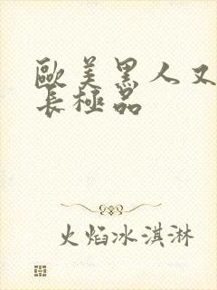 欧美黑人又粗又长极品封面