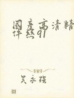 国产高清精品软件丝91