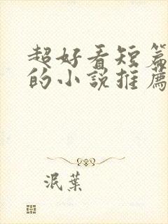 超好看短篇言情的小说推荐