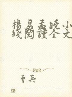 杨易孟晓小说在线阅读全文封面