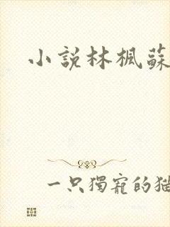 小说林枫苏慕白