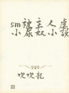 sm被主人虐玩小尿奴小说封面