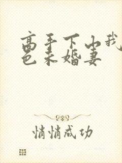 高手下山我的绝色未婚妻封面