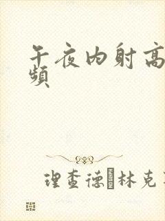 午夜内射高潮视频