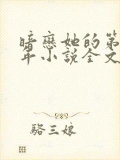 暗恋她的第十一年小说全文