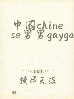 中国chinese男男gaygayvideo
