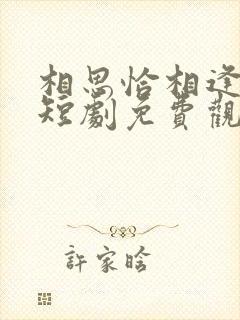 相思恰相逢沈欣短剧免费观看