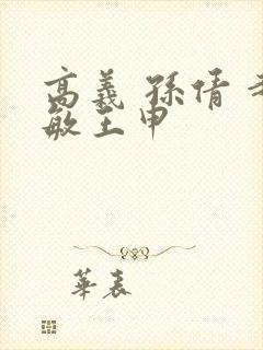 高义 孙倩 赵敏王申