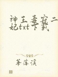 神王毒宠二嫁王妃txt下载