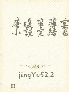 唐暖宁薄宴沉的小说完结篇