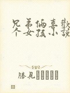 兄弟俩喜欢同一个女孩小说