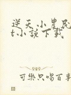 逆天小农民txt小说下载