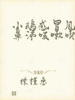 小鹅感冒甩头流鼻涕咳嗽吃什么药