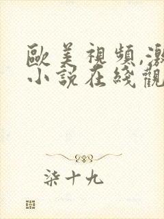 欧美视频,激情小说在线观看