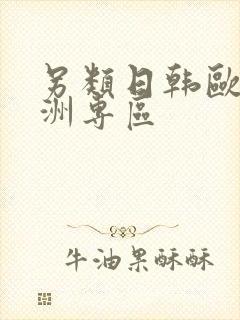 另类日韩欧美亚洲专区