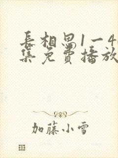 长相思1一40集免费播放
