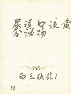 尿道口流黄色性分泌物