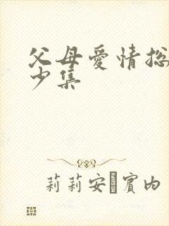 父母爱情总共多少集封面