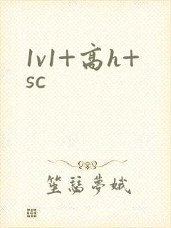 1v1+高h+sc