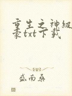 重生之神级大富豪txt下载