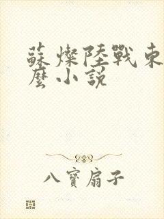 苏灿陆战东是什么小说封面