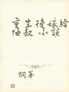 重生后嫁给男主他叔 小说