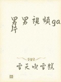 男男视频gay片