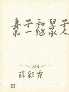 妻子和儿子谁是第一继承人封面