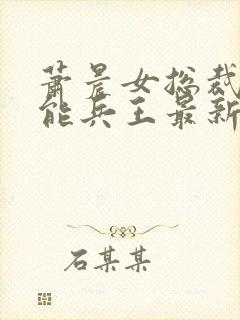 萧晨女总裁的全能兵王最新更新txt