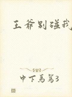 王爷别碰我小说