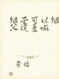 继子可以继承继父遗产嘛