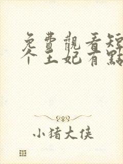 免费观看短剧这个王妃有点野