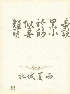 类似于黑帝的呆萌妻的小说封面