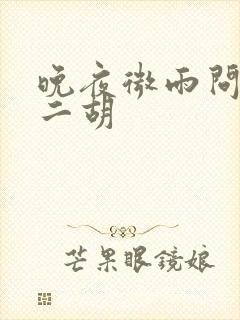 晚夜微雨问海棠二胡