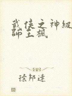 武侠之神级大宗师王枫封面