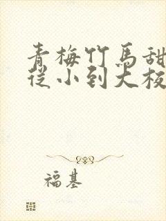 青梅竹马甜宠文从小到大校园封面