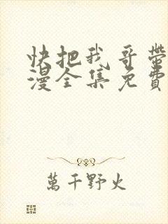 快把我哥带走动漫全集免费观看中文