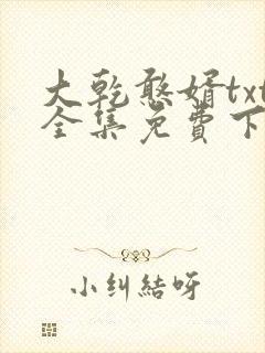 大乾憨婿txt全集免费下载